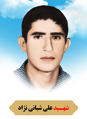 تصویر شهید علی شبانی نژاد